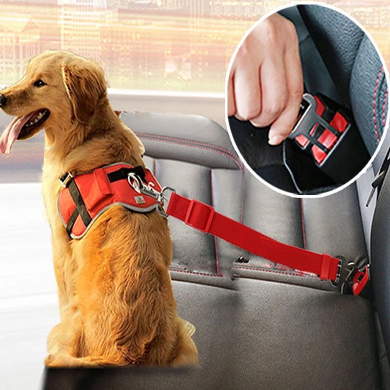 Telescopic Traction Rope For Pet Car Seat Belt - Sea Of Finds